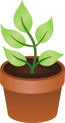 Green Seedling in Terracotta Pot on Transparent Background