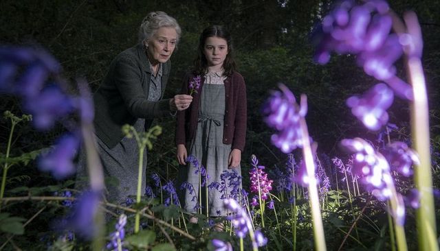 Grandmother offering purple bluebell to young granddaughter among bluebells in dim woodland