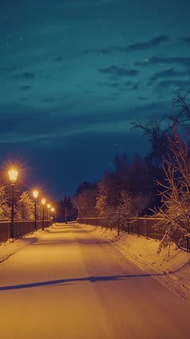 Vertical video showing lampposts casting warm glow on snowy park path at nightfall