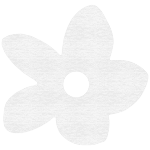 White Flower Illustration on Transparent Background - Download Free Stock Videos Pikwizard.com