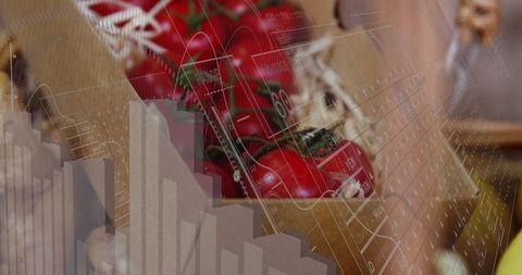 Tomatoes in Crate with Technological Charts Overlay