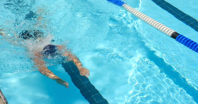 Swimmer Diving Into Olympic-size Pool with Lanes - Download Free Stock Images Pikwizard.com