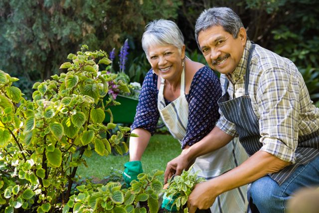 Senior couple enjoying gardening together on a sunny day. Ideal for use in articles about healthy lifestyles, retirement activities, bonding time, and outdoor hobbies. Perfect for promoting gardening products, senior living communities, and wellness programs.