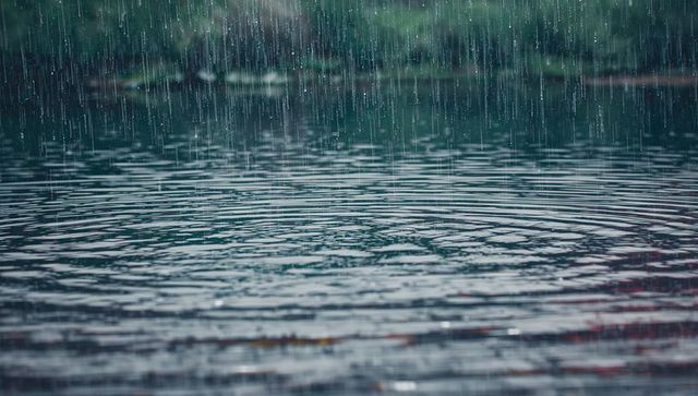Raindrops Creating Ripples on Forest Lake