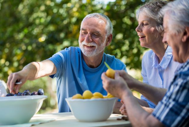 Senior couples removing seeds of apricot fruits in garden on a sunny day