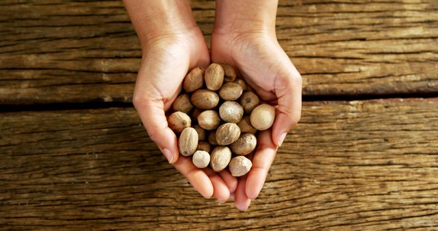 Caucasian hands present a handful of spice seeds on a wooden background, with copy space. It signifies the importance of natural ingredients in cooking and food preparation.