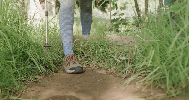 Hiker's Legs with Trekking Poles Walking on Forest Trail - Download Free Stock Images Pikwizard.com