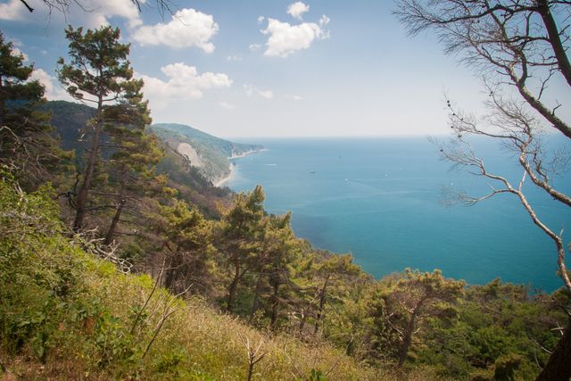 Scenic Coastal View with Lush Greenery - Download Free Stock Photos Pikwizard.com