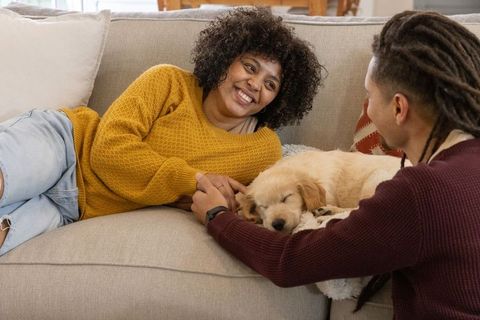 Couple reclining on sofa holding hands smiling petting sleeping golden retriever puppy