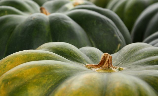 Detailed close-up of green and yellow pumpkins, ideal for illustrating agriculture, organic farming, seasonal harvests, or fresh produce topics. Perfect for websites, blogs, advertisements, and brochures focusing on farming, gardening, and healthy eating. Adds a touch of autumn and rural charm.