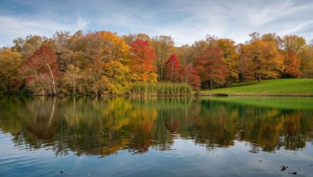 Serene Autumn Scene with Vibrant Reflection on Tranquil Lake