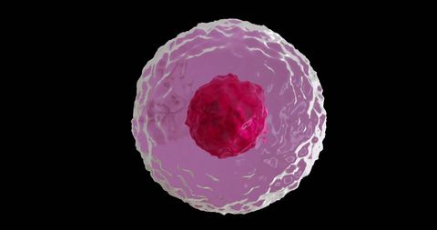 Microscopic View of Cell on Black Background - Download Free Stock Images Pikwizard.com