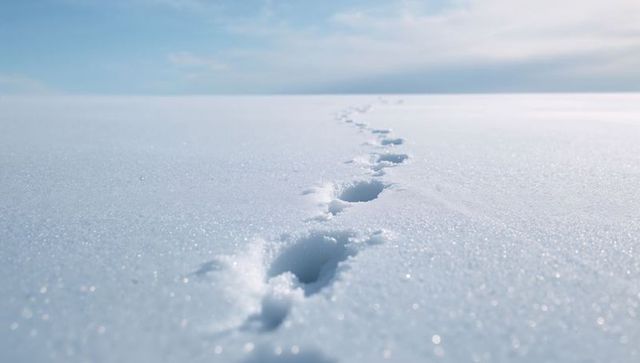 Footprints crossing pristine snowfield toward distant horizon, minimal winter trail