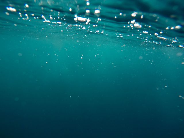 Tranquil Underwater View with Bubbling Surface - Download Free Stock Photos Pikwizard.com