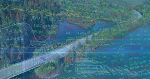 Forestry and finance: converging realms of nature and analytics