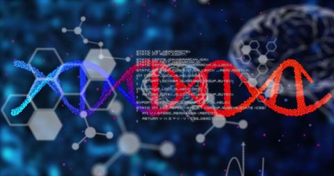 Futuristic DNA Strand and Digital Network Representation - Download Free Stock Images Pikwizard.com