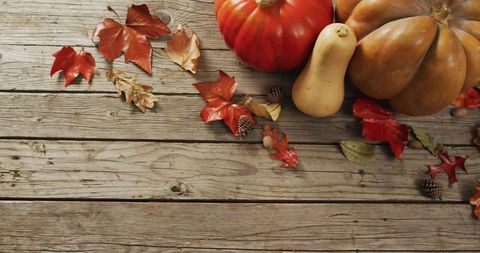 Sitting Rustic Pumpkins and Gourds on Weathered Wood Planks with Autumn Leaves and Acorns