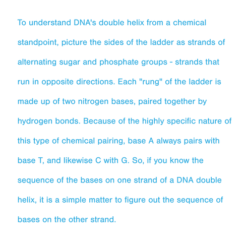 transparent dna double helix chemical perspective text - Download Free Stock Videos Pikwizard.com