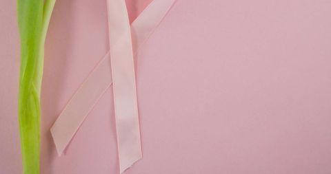 Breast cancer awareness ribbon with tulip on pink background