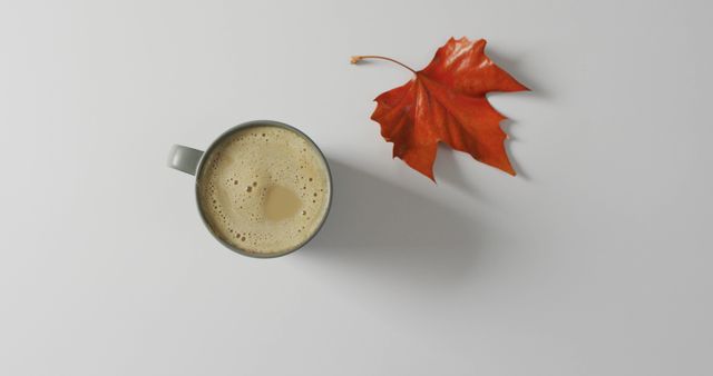 Image of top view of mug with coffee and fall leaf on white background. seasons, autumn, coziness and relax concept.