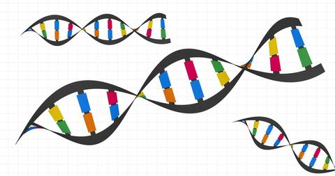 Colorful dna molecule concept on white background