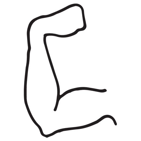 Arm Flexing Biceps Line Drawing on Transparent Background - Download Free Stock Videos Pikwizard.com