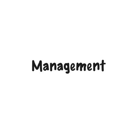 digital black management text on transparent background - Download Free Stock Videos Pikwizard.com