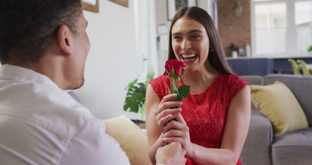 Happy biracial couple celebrating valentine's day giving rose at home. valentine's day celebration, romance and quality time together at home.
