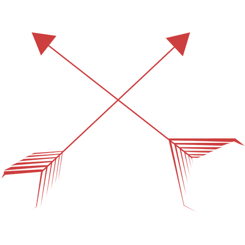 Red Arrows Diagonal Cross Transparent Vector Illustration - Download Free Stock Videos Pikwizard.com