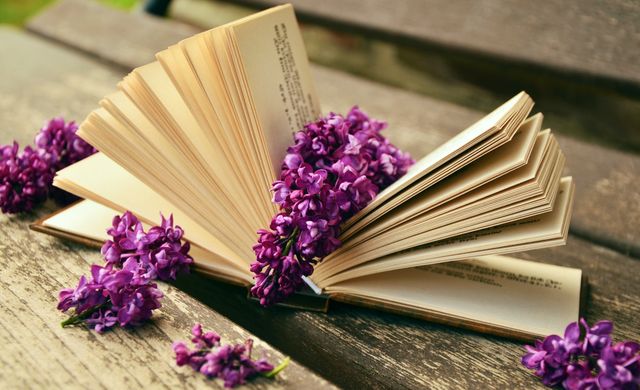 Peaceful photo capturing an open book adorned with purple flowers on a weathered wooden bench. Ideal for promoting reading, literature events, romantic settings, or relaxation. Suitable for blogs, social media, websites, and editorial use highlighting tranquility, romance, or nature.