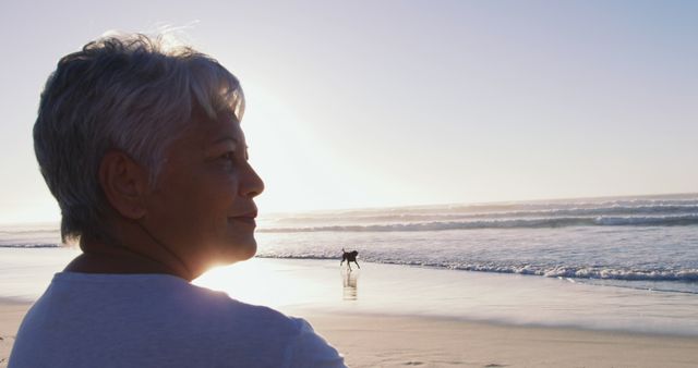 Senior woman enjoying peaceful moment by the ocean, looking over the sunset while a dog plays in the distance. Perfect for depicting retirement, tranquility, calmness, and contemplation. Ideal for use in advertisements for travel, wellness, retirement planning, and coastal living.