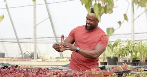 Urban farmer inspecting plant in sustainable greenhouse