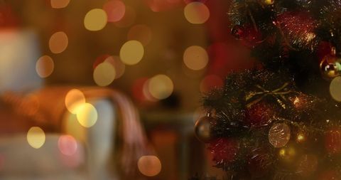 Festive Christmas Tree with Twinkling Lights for Holiday Celebration - Download Free Stock Images Pikwizard.com