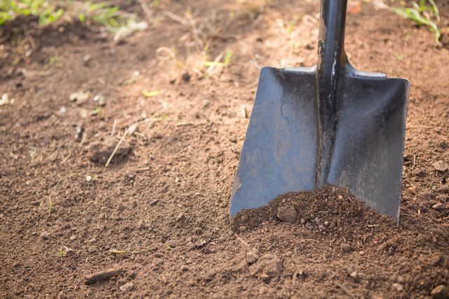 Shovel digging soil in community garden, ideal for illustrating gardening activities, community projects, agricultural practices, and outdoor manual labor. Useful for blogs, articles, and educational materials on gardening and farming.