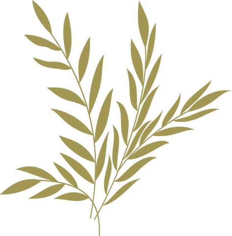 golden branches with leaves on transparent background - Download Free Stock Videos Pikwizard.com