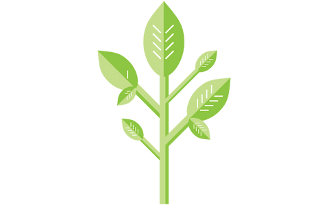 minimalistic green plant vector on transparent background - Download Free Stock Videos Pikwizard.com