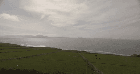 Scenic aerial view of transparent ocean by green coastline on sunny day