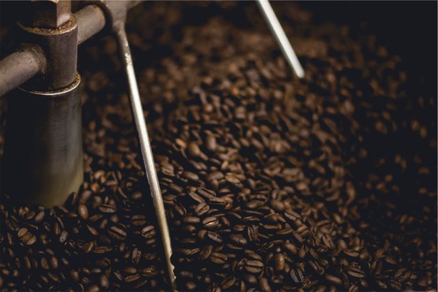 Dark coffee beans being roasted in an industrial coffee roaster. Ideal for illustrating coffee production, the intricacies of roasting process, or the coffee industry. Can be used in blogs, articles, or web content related to coffee, cafes, and the beverage industry.