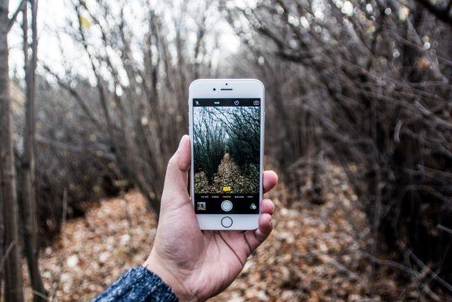 Hand Holding Smartphone Capturing Forest Path Image - Download Free Stock Photos Pikwizard.com