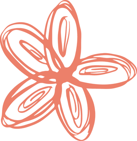 coral doodle flower illustration on transparent background - Download Free Stock Videos Pikwizard.com