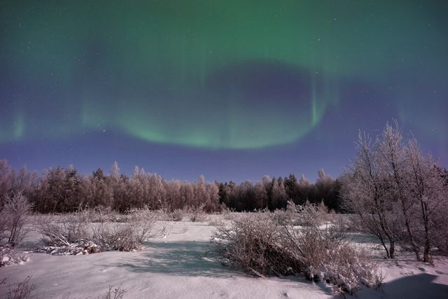 Spectacular display of northern lights illuminating night sky over snow-covered landscape with trees. Perfect for use in travel brochures, winter-themed advertisements, nature documentaries, or inspirational posters showcasing natural beauty and tranquility.