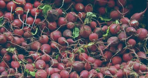 Packing red radishes with tangled roots and green leaves in rustic market produce closeup