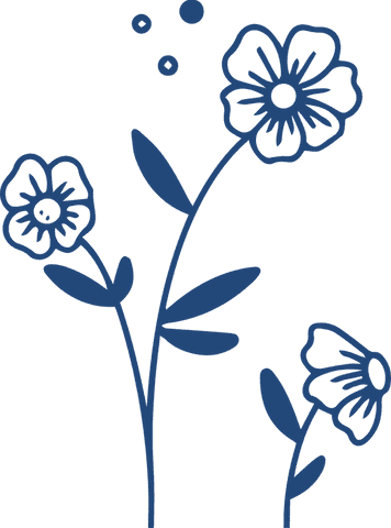 elegant blue flower line art on transparent background - Download Free Stock Videos Pikwizard.com