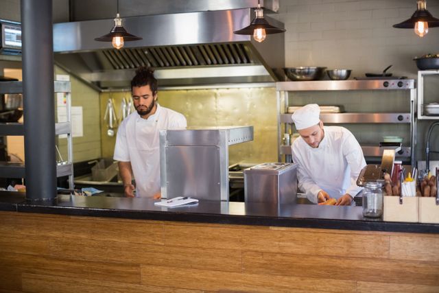 Professional chefs working in commercial kitchen