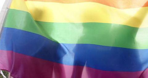 Couple Holding Rainbow LGBT Flag with Shadows - Download Free Stock Images Pikwizard.com