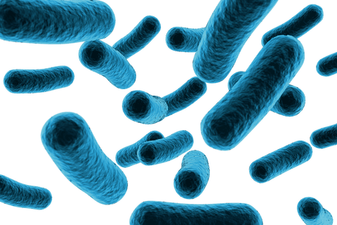 Transparent blue virus and bacteria cells on white background