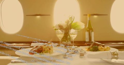 Gourmet dining experience on private jet