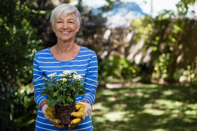 Senior woman holding white flowers while gardening in a backyard. Ideal for content related to gardening, outdoor activities, senior lifestyle, and nature. Can be used in articles, blogs, and advertisements promoting healthy living, hobbies for the elderly, and gardening tips.