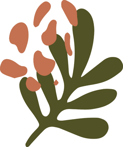 Minimalist abstract plant olive green branches on transparent background