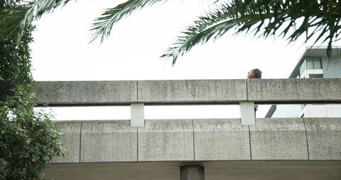 Woman walking on concrete overpass under palm fronds with urban greenery and copy space
